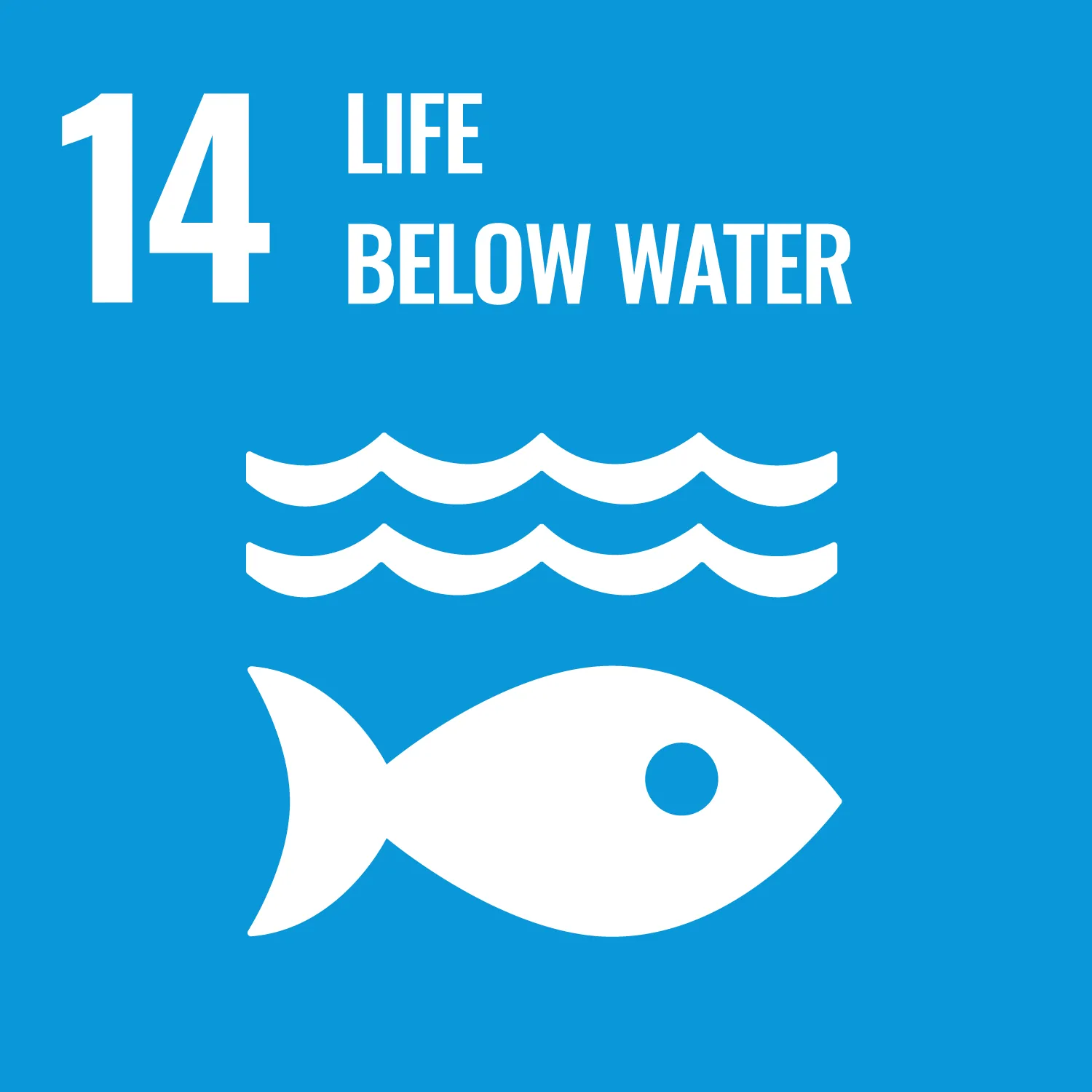 life-below-water